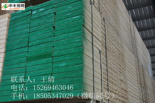 中木商網 一站式木材信息平臺助力網絡工程建設